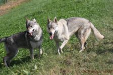 Chunami & Delphi ¦ 02.09.2012