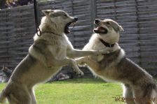 Luke & Delphi ¦ 02.09.2012