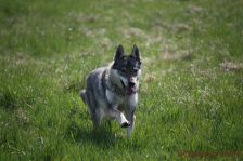 Chunami ¦ 06.04.2012