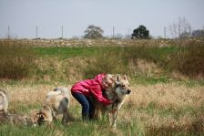 Kim & Bandit ¦ 06.04.2012