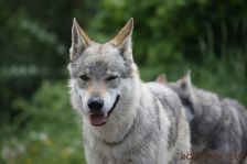 Delphi ¦ 13.05.2012