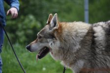 Bandit ¦ 13.05.2012