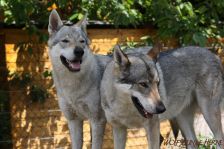Delphi & Chunami ¦ 19.05.2012