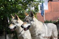 Chunami & Delphi ¦ 19.05.2012