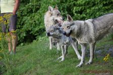 Bandit, Chunami & Delphi ¦ 25.07.2012