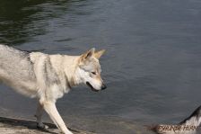 Delphi ¦ 29.07.2012