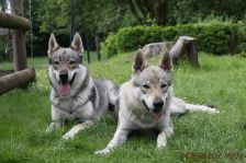 Chunami & Delphi ¦ 30.06.2012
