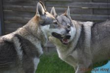 Pepples und Kalli