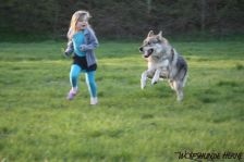 Bandit am 09.04.2011