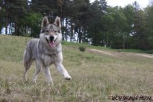 Chunami from Bandit´s World am 16.05.2010