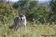 Chunami from Bandit´s World am 18.09.2011