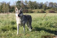 Chunami from Bandit´s World am 22.10.2011