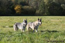 Chunami from Bandit´s World am 25.10.2010