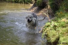 Delphi from Bandit´s World am 05.08.2011