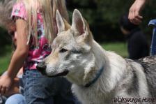 Delphi from Bandit´s World am 07.08.2011