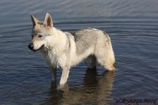 Delphi from Bandit´s World am 17.08.2011