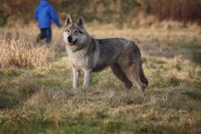 Delphi from Bandit´s World am 27.01.2012