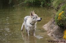 Delphi from Bandit´s World am 28.07.2011