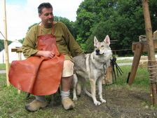 Tschechoslowakische(r) Wolfhund(e) Luna (Cherina) am 13.06.2009 