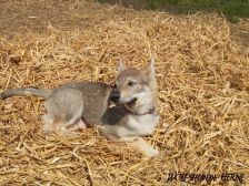 Bakira from Bandit´s World am 01.04.2007