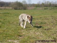 Bakira from Bandit´s World am 01.04.2007