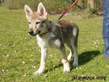 Bakira from Bandit´s World am 07.04.2007