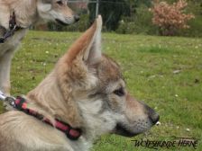 Bakira from Bandit´s World am 07.04.2007