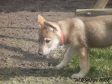 Bakira from Bandit´s World am 10.03.2007