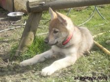 Bakira from Bandit´s World am 10.03.2007