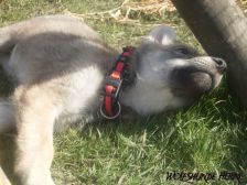 Bakira from Bandit´s World am 10.03.2007