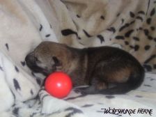 Bakira from Bandit´s World am 19.01.2007