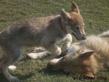 Bakira from Bandit´s World am 25.03.2007