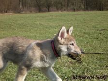 Bakira from Bandit´s World am 25.03.2007