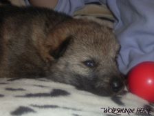 Bakira from Bandit´s World am 27.01.2007