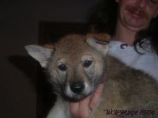 Bakira from Bandit´s World am 28.02.2007