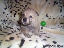 Bayana from Bandit´s World am 03.02.2007