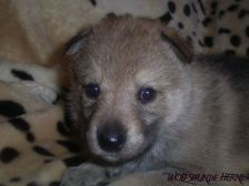 Bayana from Bandit´s World am 03.02.2007