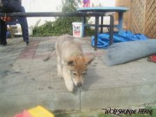 Bayana from Bandit´s World am 10.03.2007