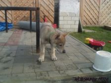 Bayana from Bandit´s World am 10.03.2007