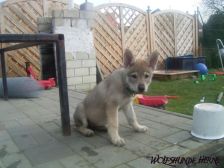 Bayana from Bandit´s World am 10.03.2007