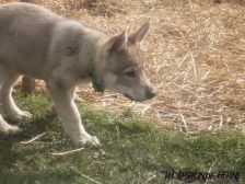 Bayana from Bandit´s World am 10.03.2007