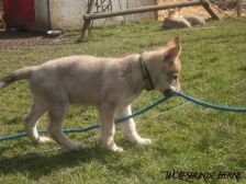 Bayana from Bandit´s World am 10.03.2007