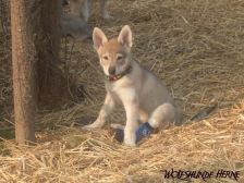 Bayana from Bandit´s World am 13.03.2007