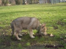 Bayana from Bandit´s World am 16.02.2007