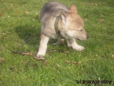 Bayana from Bandit´s World am 16.02.2007