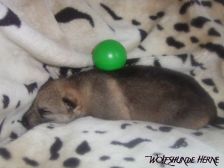 Bayana from Bandit´s World am 19.01.2007