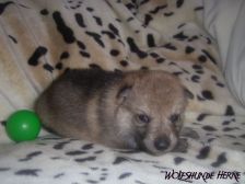 Bayana from Bandit´s World am 27.01.2007