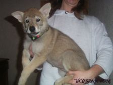 Bayana from Bandit´s World am 28.02.2007