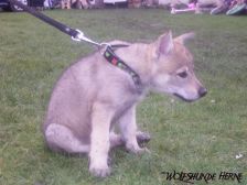 Bayana from Bandit´s World am 28.02.2007