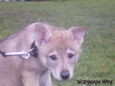 Bayana from Bandit´s World am 28.02.2007